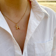 Load image into Gallery viewer, Golden Balloon Dog