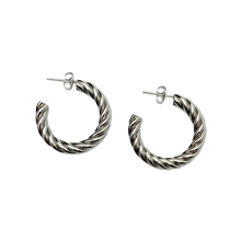 Load image into Gallery viewer, Ellie Hoop earrings