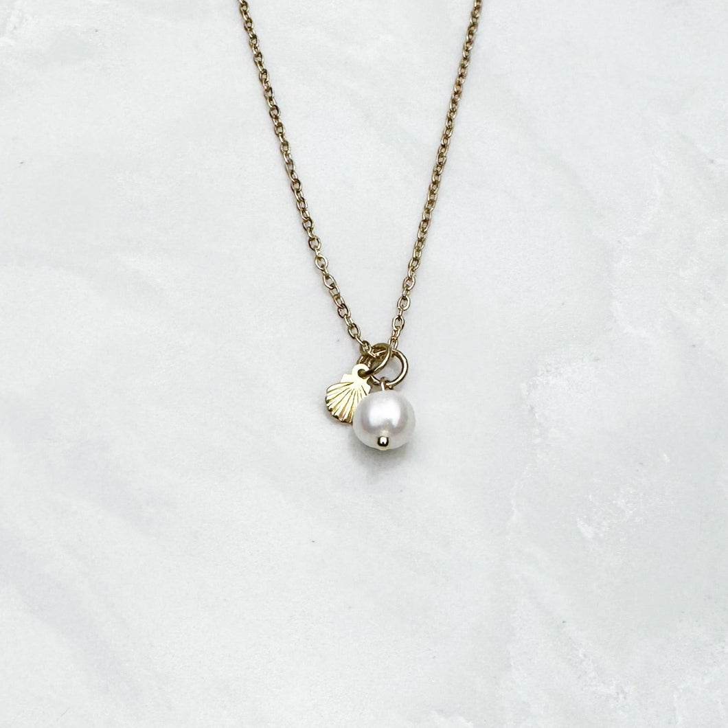 Dainty Shell + Pearl Necklace