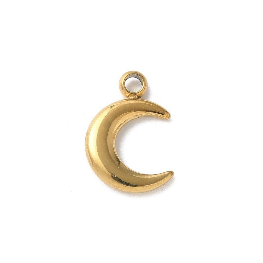 Dainty Moon Charm