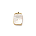 Pure Essence Charm